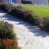 Bredasdorp - Element Ecosystems - Xplorio™ L'Agulhas