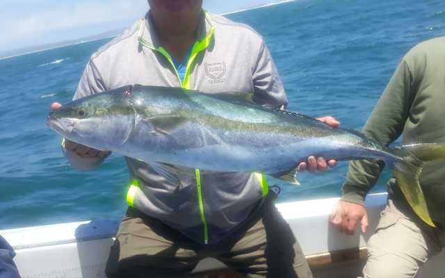 271967487_4591638944296292_7582693213050129321_n_1642401262