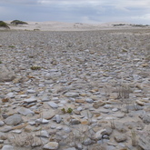 Agulhas - Africa Tip Trails - Xplorio™ L'Agulhas