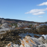 Agulhas - Africa Tip Trails - Xplorio™ L'Agulhas