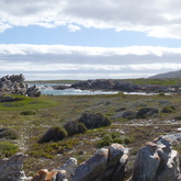 Agulhas