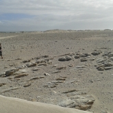 Agulhas - Africa Tip Trails - Xplorio™ L'Agulhas