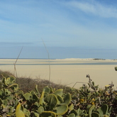 Arniston - Africa Tip Trails - Xplorio™ L'Agulhas