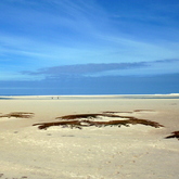 Arniston - Africa Tip Trails - Xplorio™ L'Agulhas