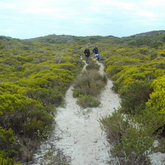 Arniston - Africa Tip Trails - Xplorio™ L'Agulhas