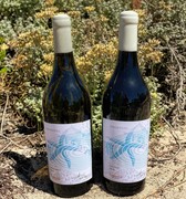 TWO New Wines!