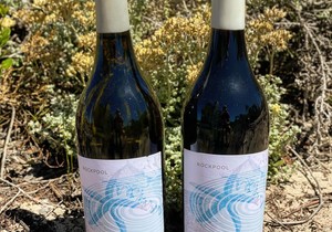 TWO New Wines!