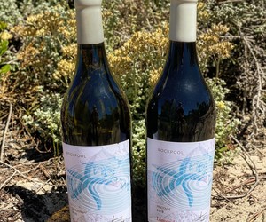 TWO New Wines!