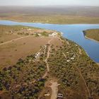 250 - Strong - De Hoop Nature Reserve - Possibly the largest herd of ELAND in Southern Africa