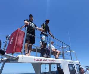 Shark Cage Diving Trip