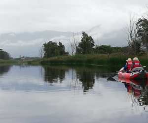 STARTING SOON! Weekend Kayaking Trips