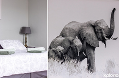 agulhas_accommodation_wings_self_catering_accommodation_master_bedroom_decor_1642649577