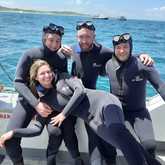 Shark Cage Diving - White Shark Projects - Xplorio™ Gansbaai