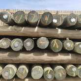 Fynbos Pole Depot Hermanus - Xplorio™ Hermanus