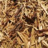 Fynbos Pole Depot Hermanus - Xplorio™ Hermanus