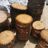 Fynbos Pole Depot Struisbaai - Xplorio™ Agulhas