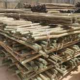 Fynbos Pole Depot Struisbaai - Xplorio™ Agulhas