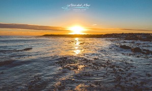 Beyond Grateful For The Support