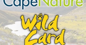 Question 1: CapeNature “Win a Wild Card” Competition 2022