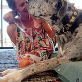 Pet sitter - connecting with Max in Stanford - Grace House and Pet Sitting - Xplorio™ Gansbaai