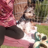 House sitter - Getting some Vit D with Oscar in De Kelders - Grace House and Pet Sitting - Xplorio™ Gansbaai