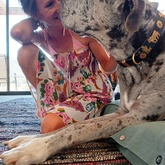 Pet sitter Stanford - Having a chat with Max  - Grace House and Pet Sitting - Xplorio™ Gansbaai