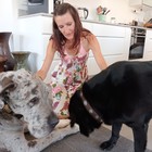House sitter - Treaty time with Max and Bella in Stanford - Grace House and Pet Sitting - Xplorio™ Gansbaai