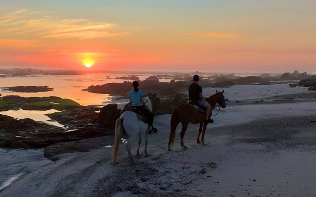 Gansbaai & Pearly Beach Horse Trails Gansbaai & Pearly Beach Horse Trails