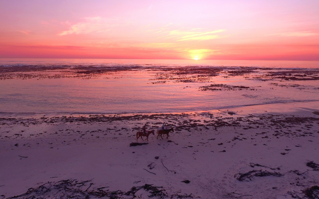 Gansbaai & Pearly Beach Horse Trails