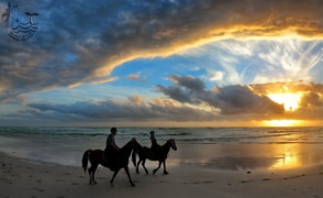 VALENTINE'S CHOC & BUBBLY TRAIL