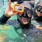 Shark Cage Diving - White Shark Projects - Xplorio™ Gansbaai