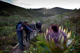 Nature Guide Position on the Fynbos Trail