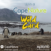 Question 2: CapeNature “Win a Wild Card” Competition 2022