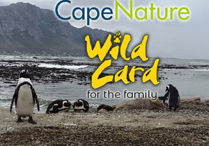 Question 2: CapeNature “Win a Wild Card” Competition 2022