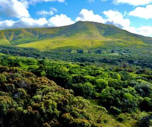 R8,500,000 | 42Ha Farm For Sale in Baardskeerdersbos