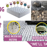 what-is-hiding - SPORGANISE - Xplorio™ Hermanus