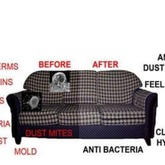 Upholstery Cleaning - SPORGANISE - Xplorio™ Hermanus