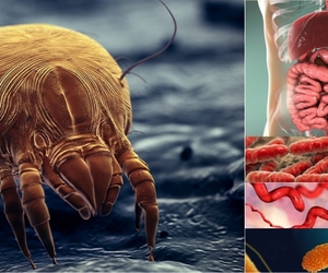 4 Disgusting Facts About Your Carpet