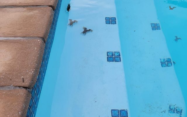 273580906_251514877156665_3375767126999275116_n_1644488153