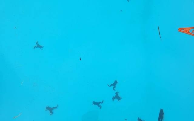 273721632_251514993823320_6833120092930949285_n_1644488154