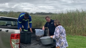 ONRUS VERMONT PLATANNA RELOCATION UPDATE 10.02.2022 @ 10:30