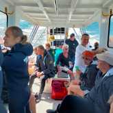 Shark Cage Diving - White Shark Projects - Xplorio™ Gansbaai