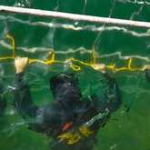 Shark Cage Diving - White Shark Projects - Xplorio™ Gansbaai