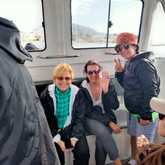 Shark Cage Diving - White Shark Projects - Xplorio™ Gansbaai