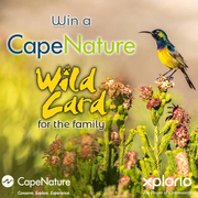 Question 3: CapeNature “Win a Wild Card” Competition 2022