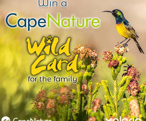 Question 3: CapeNature “Win a Wild Card” Competition 2022