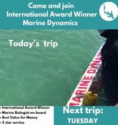 Next Marine Dynamics Shark Cage Diving Trip: 15 February 2022