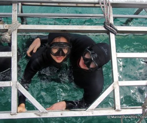 Daily Blog: 15 February 2022 | Shark Cage Diving in South Africa