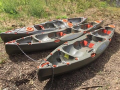 Kayak Rentals