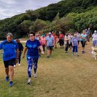 Sunset Walk - Gansbaai Tourism Bureau - Xplorio™ Gansbaai